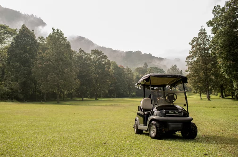 A golf cart parked on a misty course with lush greenery